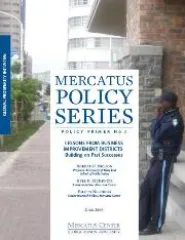 publication-Lessons_from_Business_Improvement_Districts_-_large.JPG