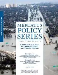 publication-levees_icon.JPG