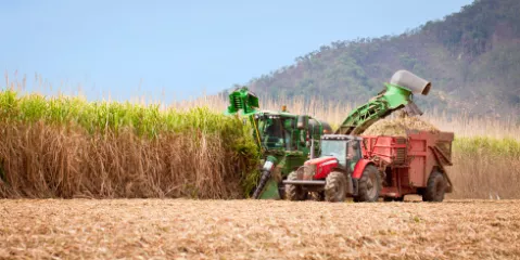 farm-subsidies.jpg