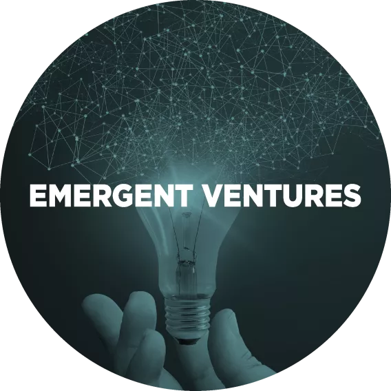 Branded art for Emergent Ventures